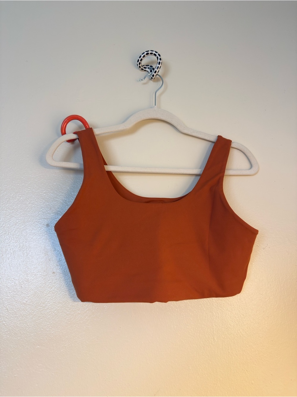 Nike Alate Sports Bra